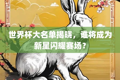 世界杯大名单揭晓，谁将成为新星闪耀赛场？