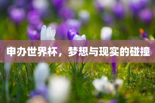 申办世界杯，梦想与现实的碰撞