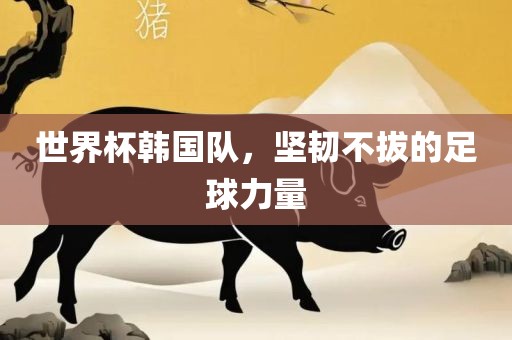 世界杯韩国队，坚韧不拔的足球力量