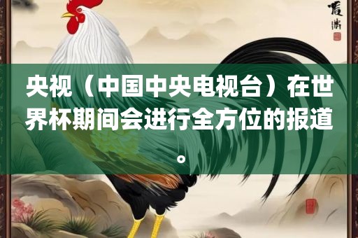 央视（中国中央电视台）在世界杯期间会进行全方位的报道。