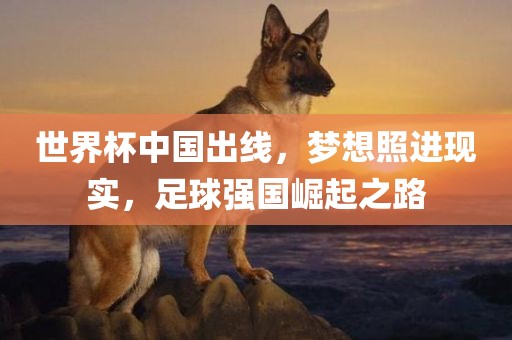 世界杯中国出线，梦想照进现实，足球强国崛起之路