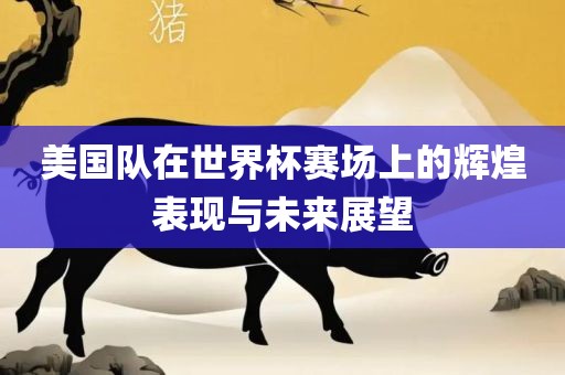 美国队在世界杯赛场上的辉煌表现与未来展望