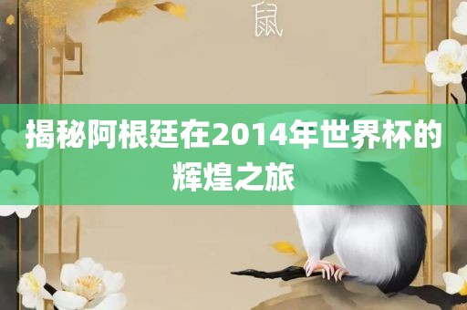 揭秘阿根廷在2014年世界杯的辉煌之旅