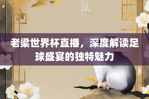 老梁世界杯直播，深度解读足球盛宴的独特魅力