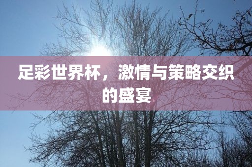 足彩世界杯，激情与策略交织的盛宴