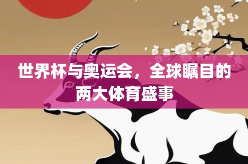 世界杯与奥运会，全球瞩目的两大体育盛事