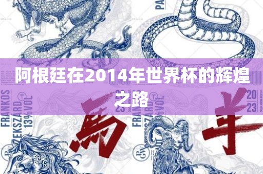 阿根廷在2014年世界杯的辉煌之路
