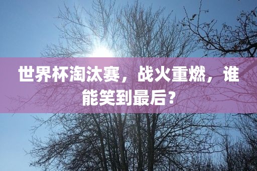 世界杯淘汰赛，战火重燃，谁能笑到最后？