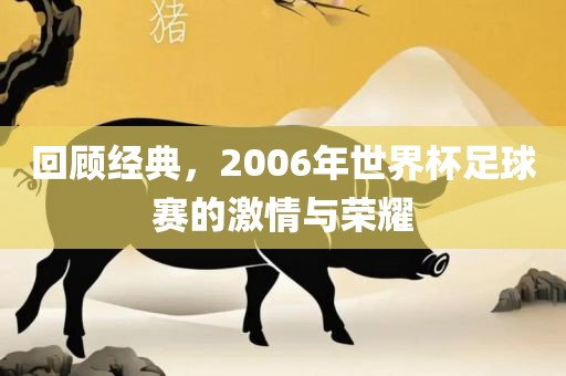 回顾经典，2006年世界杯足球赛的激情与荣耀
