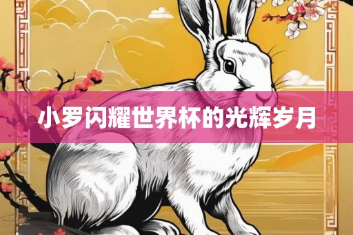 小罗闪耀世界杯的光辉岁月