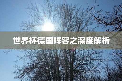 世界杯德国阵容之深度解析