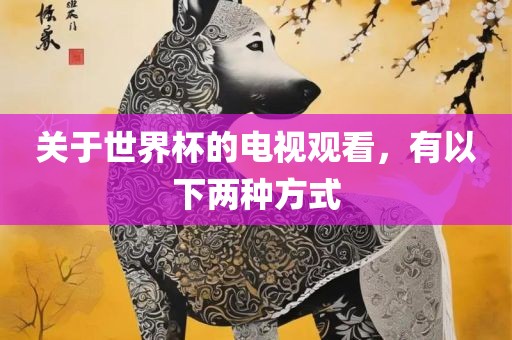 关于世界杯的电视观看，有以下两种方式