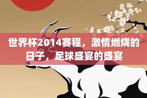 世界杯2014赛程，激情燃烧的日子，足球盛宴的盛宴