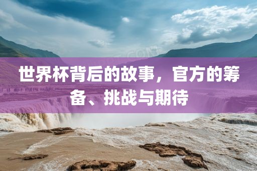 世界杯背后的故事，官方的筹备、挑战与期待