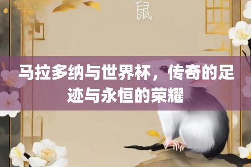 马拉多纳与世界杯，传奇的足迹与永恒的荣耀