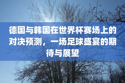 德国与韩国在世界杯赛场上的对决预测，一场足球盛宴的期待与展望