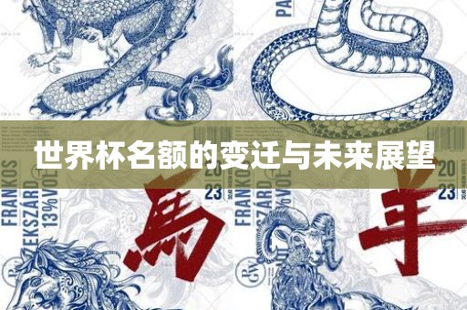 世界杯名额的变迁与未来展望