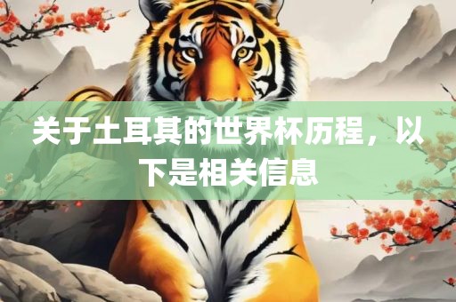 关于土耳其的世界杯历程，以下是相关信息