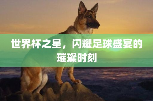 世界杯之星，闪耀足球盛宴的璀璨时刻