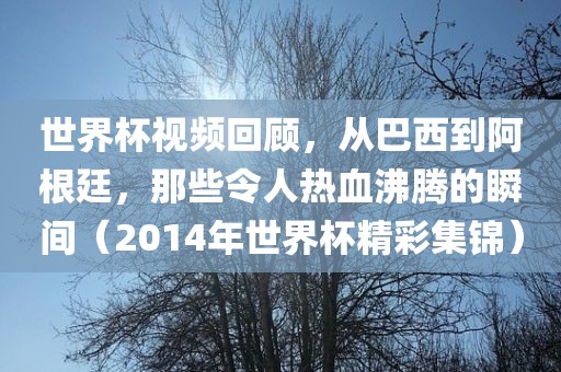 世界杯视频回顾，从巴西到阿根廷，那些令人热血沸腾的瞬间（2014年世界杯精彩集锦）