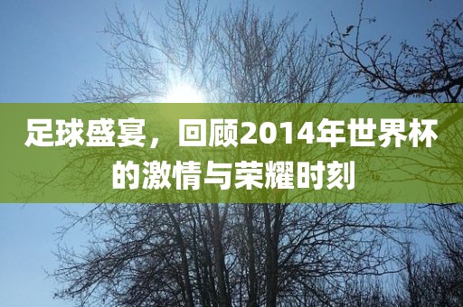 足球盛宴，回顾2014年世界杯的激情与荣耀时刻