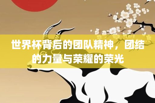 世界杯背后的团队精神，团结的力量与荣耀的荣光