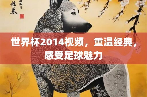 世界杯2014视频，重温经典，感受足球魅力