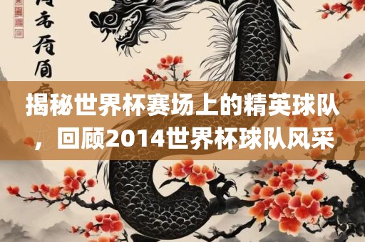 揭秘世界杯赛场上的精英球队，回顾2014世界杯球队风采
