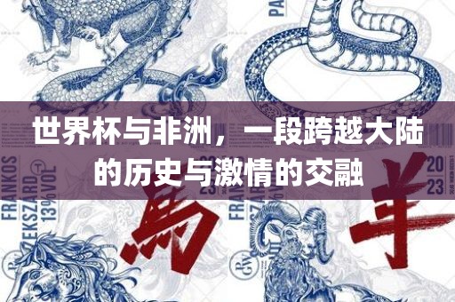 世界杯与非洲，一段跨越大陆的历史与激情的交融