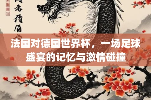 法国对德国世界杯，一场足球盛宴的记忆与激情碰撞