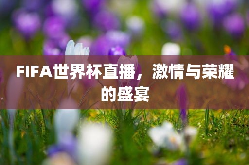 FIFA世界杯直播，激情与荣耀的盛宴