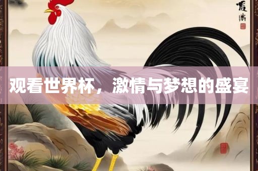 观看世界杯，激情与梦想的盛宴