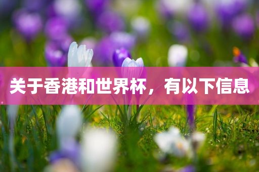 关于香港和世界杯，有以下信息