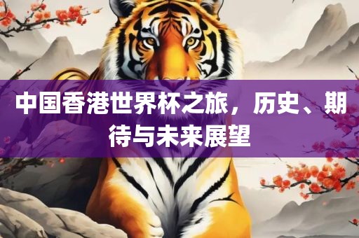 中国香港世界杯之旅，历史、期待与未来展望