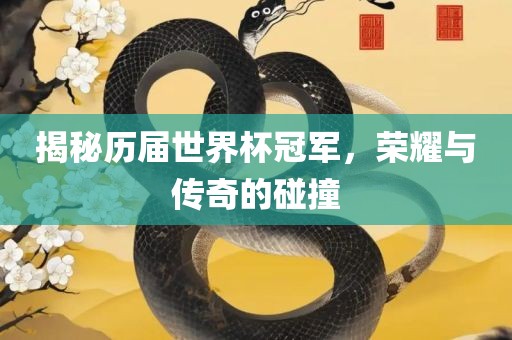 揭秘历届世界杯冠军，荣耀与传奇的碰撞
