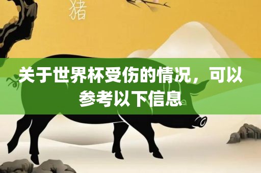 关于世界杯受伤的情况，可以参考以下信息