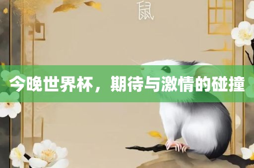今晚世界杯，期待与激情的碰撞丹东日丰电子有限公司