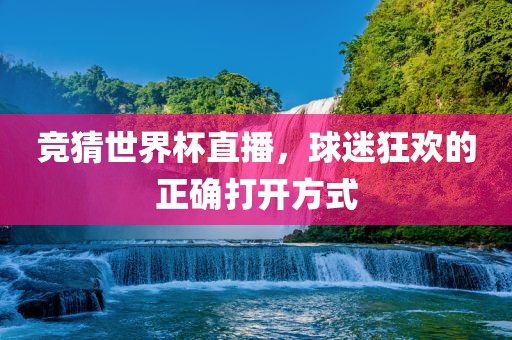竞猜世界杯直播，球迷狂欢的正确打开方式