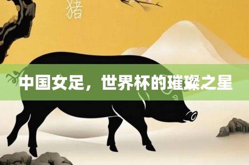 中国女足，世界杯的璀璨之星