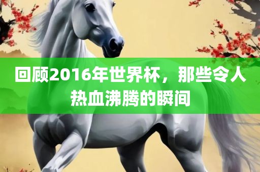 回顾2016年世界杯，那些令人热血沸腾的瞬间