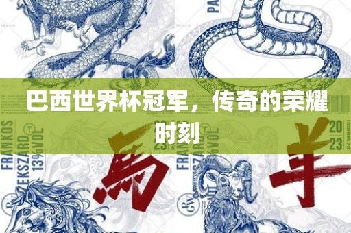 巴西世界杯冠军，传奇的荣耀时刻