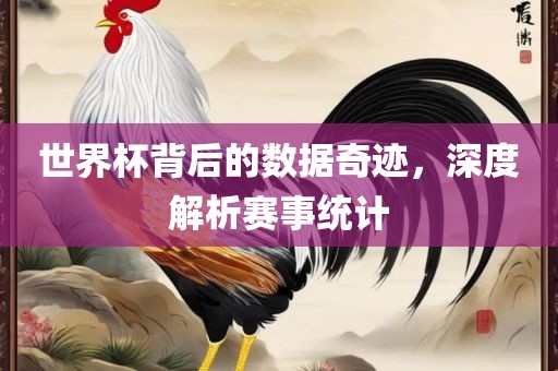 世界杯背后的数据奇迹，深度解析赛事统计