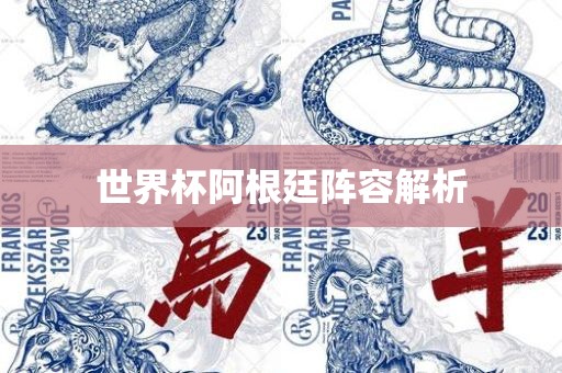 世界杯阿根廷阵容解析
