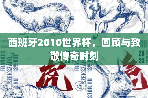 西班牙2010世界杯，回顾与致敬传奇时刻