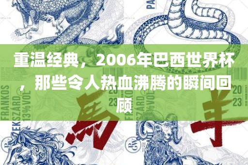 重温经典，2006年巴西世界杯，那些令人热血沸腾的瞬间回顾