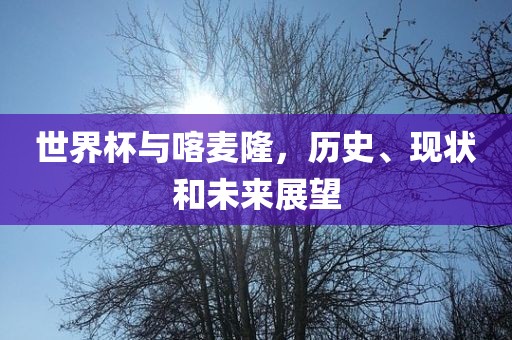 世界杯与喀麦隆，历史、现状和未来展望