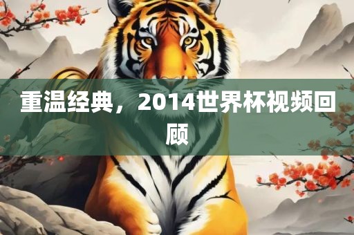重温经典，2014世界杯视频回顾