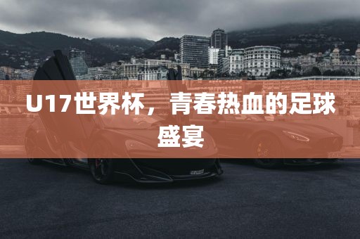 U17世界杯，青春热血的足球盛宴