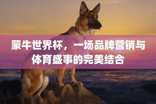 蒙牛世界杯，一场品牌营销与体育盛事的完美结合