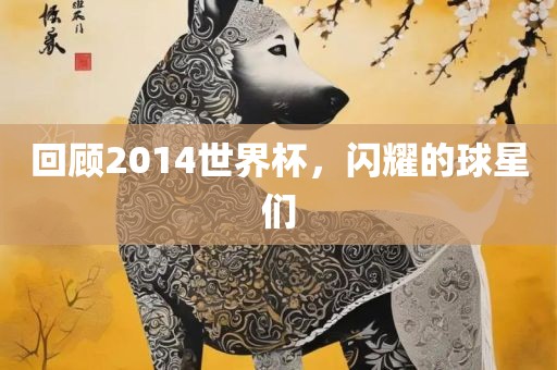 回顾2014世界杯，闪耀的球星们